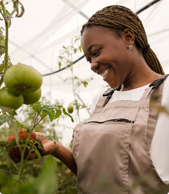 Smiling farmer inspecting crops
