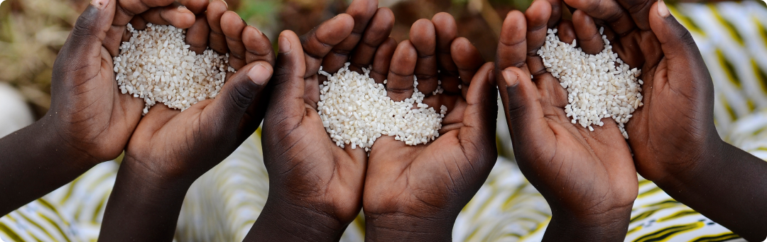 Children holding rice